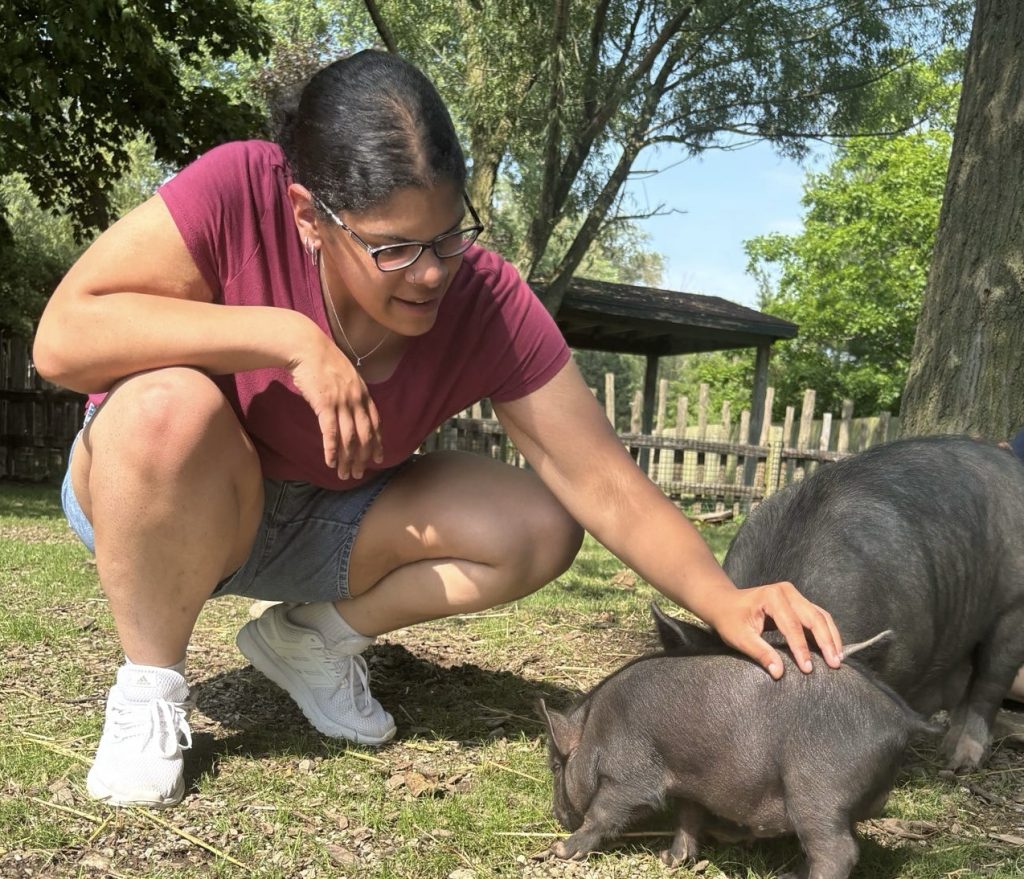 Image (10) Woman Petting Pot-Bellied Pig Baby